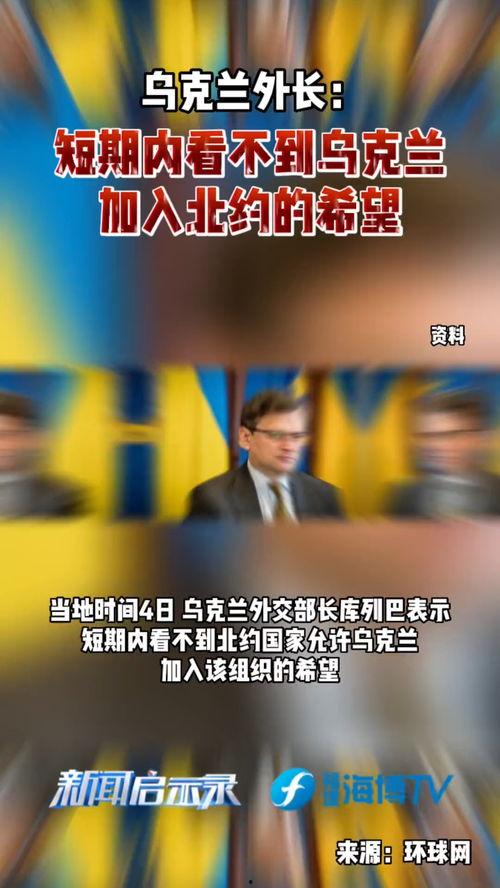 乌克兰内部爆料新闻视频,揭秘真相与内幕